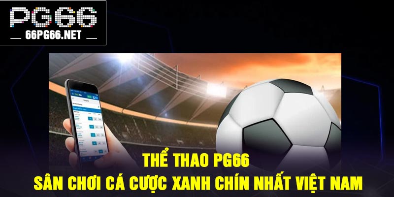 Thể thao PG66 – Sân chơi cá cược xanh chín nhất Việt Nam